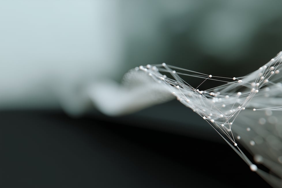 curved-mesh-visual (2)