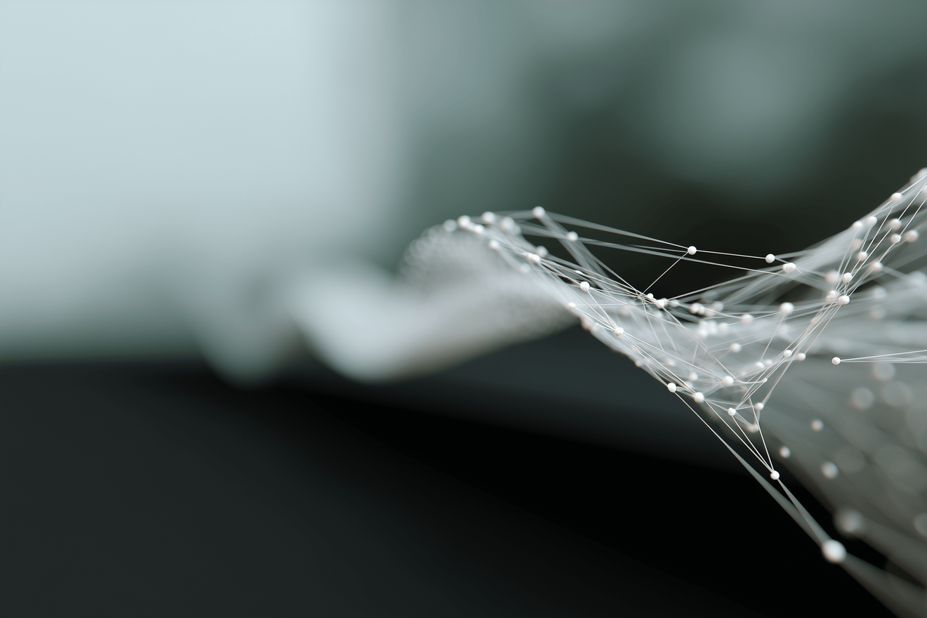 curved-mesh-visual (2)