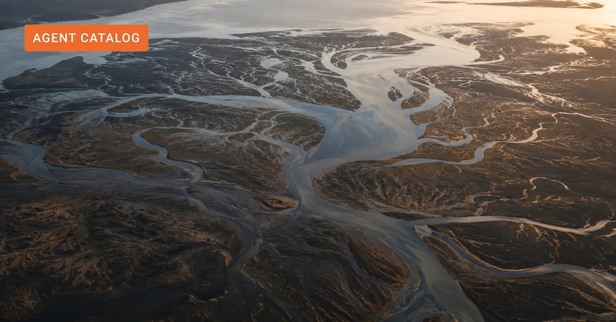 Aerial view of a branching river delta spreading across a shared plain, evoking enterprise AI deployments scaling from one foundation